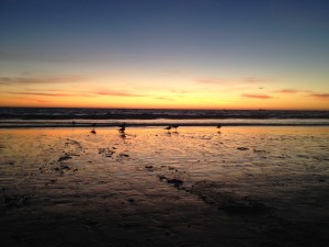 IMG_1953